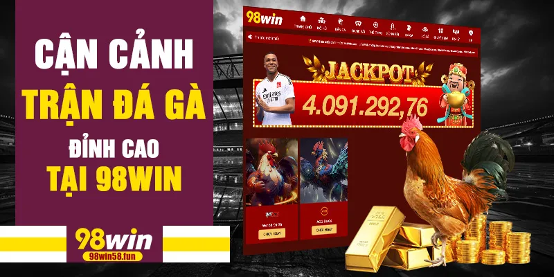 Cận cảnh trận đá gà đỉnh cao tại 98win