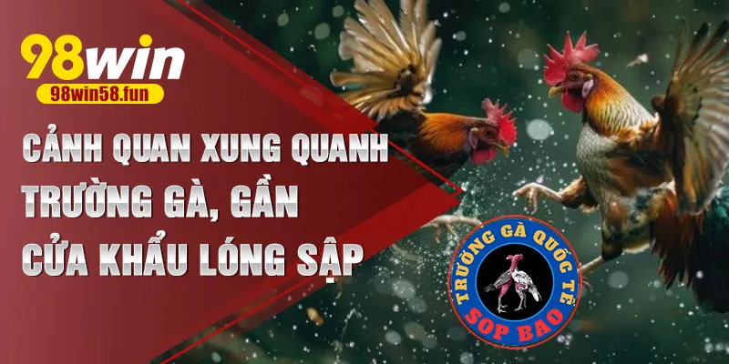 Cảnh quan xung quanh trường gà, gần cửa khẩu Lóng Sập