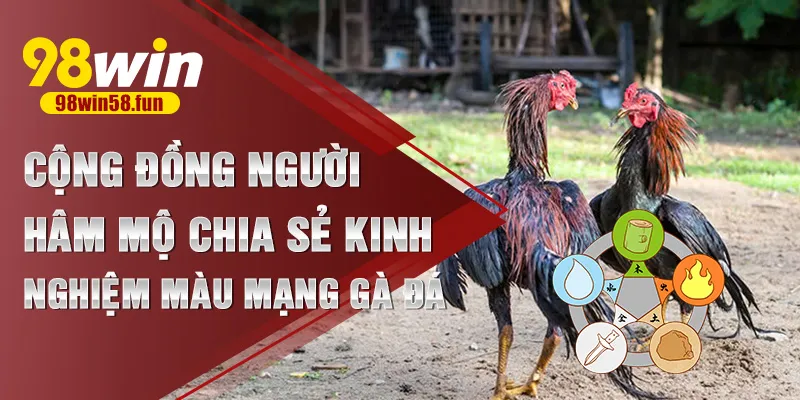 Cộng đồng người hâm mộ chia sẻ kinh nghiệm màu mạng gà đá