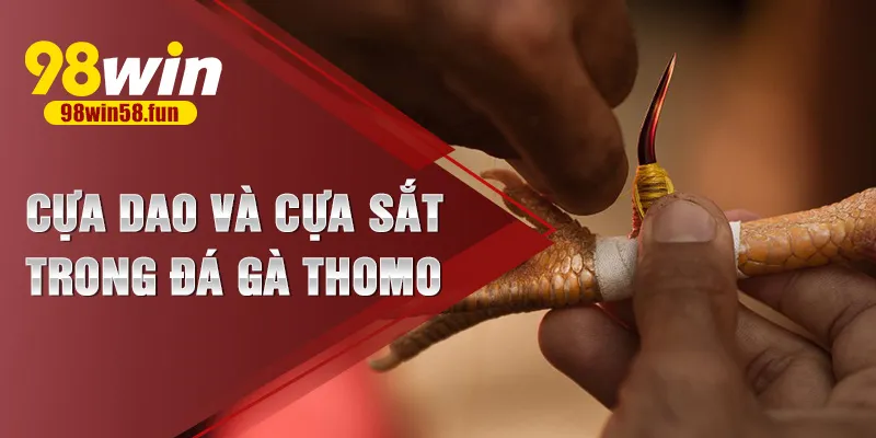 Cựa dao và cựa sắt trong đá gà Thomo