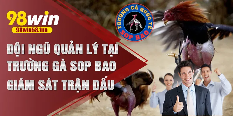 Đội ngũ quản lý tại trường gà Sop Bao giám sát trận đấu