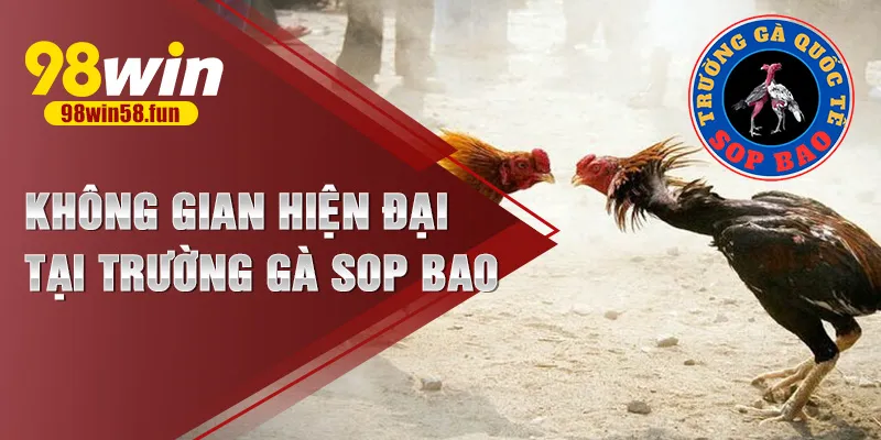 Không gian hiện đại tại trường gà Sop Bao