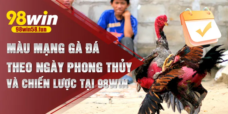 Màu mạng gà đá theo ngày