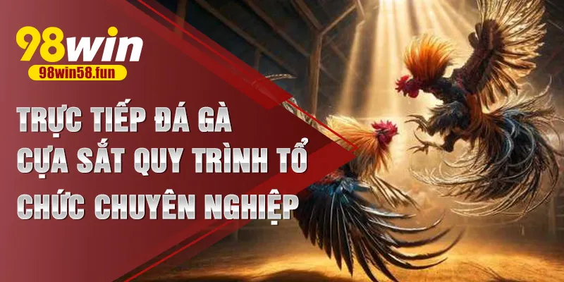 trực tiếp đá gà cựa sắt