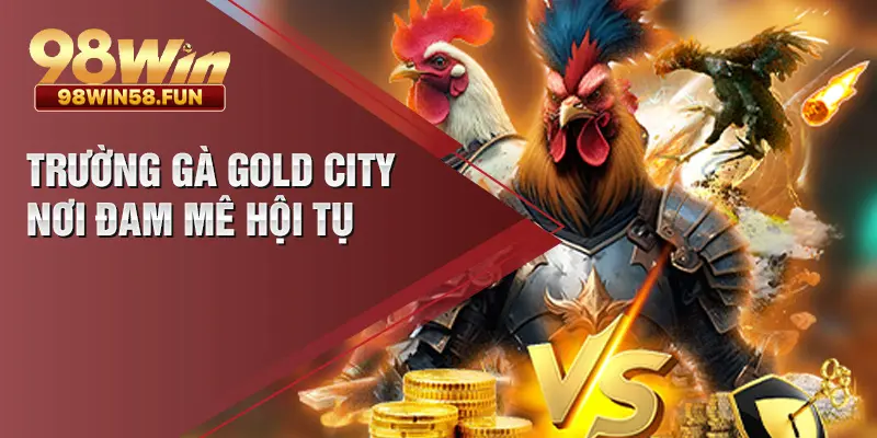 Trường gà gold city – nơi đam mê hội tụ