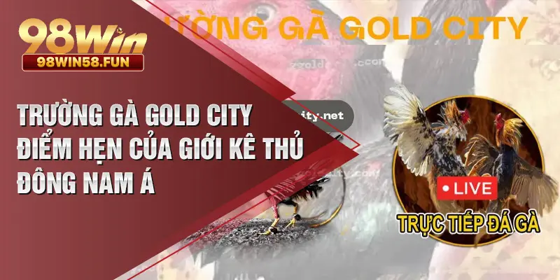trường gà gold city